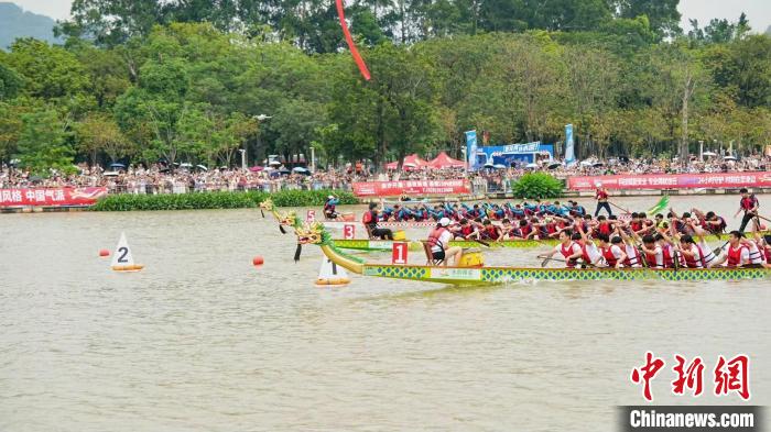 粤港澳大湾区五十余支龙舟队云集南沙蕉门河，